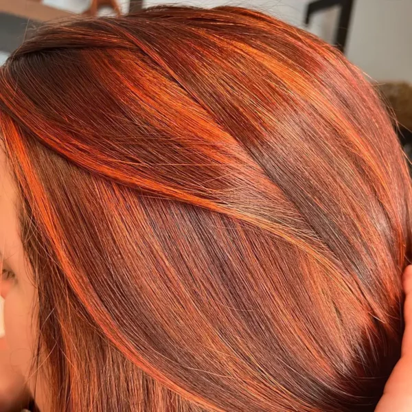 The Experience Hair Studio - Copper red hair color treatment, vibrant color with highlights and low lights - Edwardsville, IL