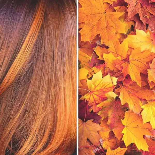 The Experience Hair Studio - fashion color treatment side by side with inspiration - copy red hair against fall leaves - Edwardsville, IL